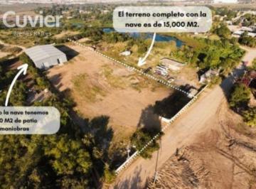 Terreno / Lote · 15000m² · Terreno en Ejido Francisco Medrano