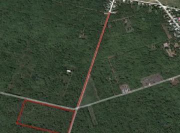Terreno / Lote , Baca · Excelente Terreno de 2.4 Ha en Venta o Renta! en Baca Yucatán