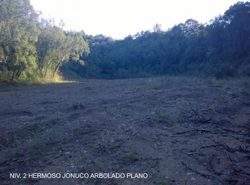 Terreno / Lote , Montemorelos · Terreno en Venta en Carretera Nacional en Montemorelos La Morita N. L.