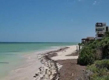 Terreno / Lote , Dzemul · Terreno en Playa San Benito Yucatán a 100 m. del Mar con Proyecto Para Hotel