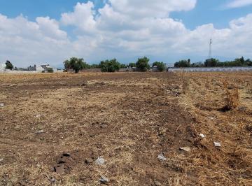 Terreno / Lote · 4779m² · Venta de Terreno con Uso de Suelo Mixto en Texcoco de Mora Estado de México. - (4)
