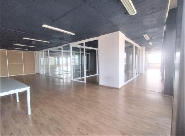 Oficina · 597m² · 17 Estacionamientos · Oficina en Renta en Polanco Anzures Acondicionada (M&sup2;o246)