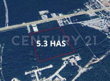 Terreno / Lote · 53000m² · Terreno Comercial en Venta en Tulum, Quintana Roo