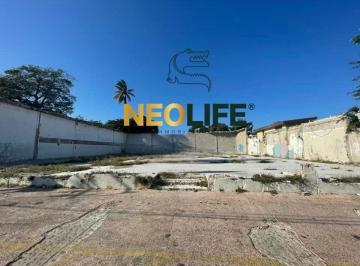 Terreno / Lote · 600m² · Terreno en Renta, Frente a Ejército Mexicano, Tampico