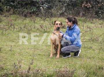 Terreno / Lote , San Cristóbal de las Casas · Terreno Para Inversionistas Calle Arroyos 13, Vistahermosa Huitepec