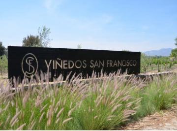 Terreno / Lote , San Miguel de Allende · Precioso Terreno en Venta en Viñedos San Francisco con Preciosas Areas Verdes y Vinicolas