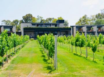 Terreno / Lote , San Miguel de Allende · Precioso Terreno en Venta en Viñedos San Francisco con Preciosas Areas Verdes y Vinicolas