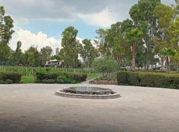 Terreno / Lote , San Miguel de Allende · Precioso Terreno en Venta en Viñedos San Francisco con Preciosas Areas Verdes y Vinicolas