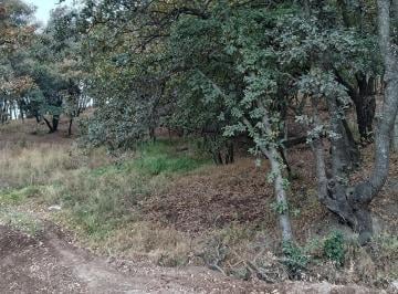 Terreno / Lote , Atizapán de Zaragoza · Terreno en Venta Rancho Blanco Atencion Desarrolladores