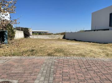 Terreno / Lote , Zapopan · Terreno en Venta en El Bosque Residencial – ¡Construye Tu Hogar Soñado!