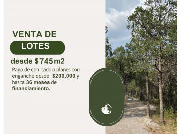 Terreno / Lote , Arteaga · Bosques de Arteaga, El Diamante, Coahila