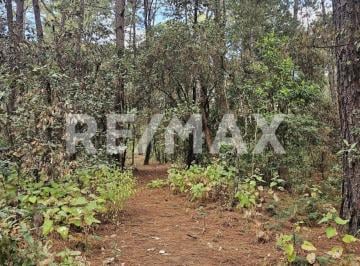 Terreno / Lote · 20672m² · Terreno en Venta - (4)