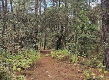 Terreno / Lote · 20672m² · Terreno en Venta - (4)
