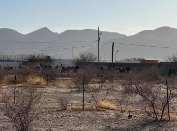 Terreno / Lote · 1000m² · Terreno en Km 24 Ejido Sacramento