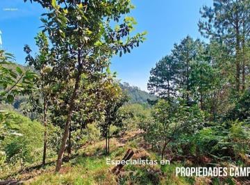 Terreno / Lote · 98300m² · Paraíso Natural de 9.8 Hectáreas con Manantiales