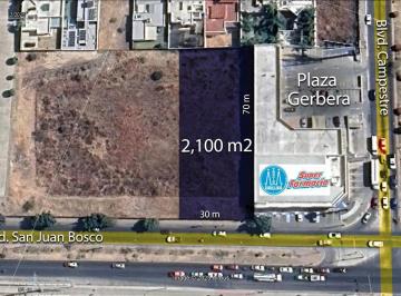 Terreno / Lote · 2100m² · Terreno en Renta Blvd. San Juan Bosco y Blvd. Campestre
