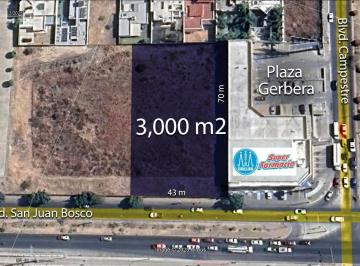 Terreno / Lote · 3000m² · Terreno en Renta Blvd. San Juan Bosco y Blvd. Campestre