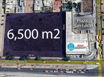 Terreno / Lote · 6500m² · Terreno en Renta Blvd. San Juan Bosco y Blvd. Campestre