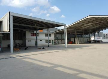 Bodega comercial , Apodaca · Renta Bodega 5000 m² Apodaca Carretera a Laredo