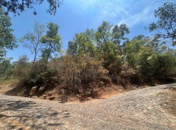 Terreno / Lote , Tapalpa · Terreno en Venta en Tapalpa Dentro de Rancho Pinto