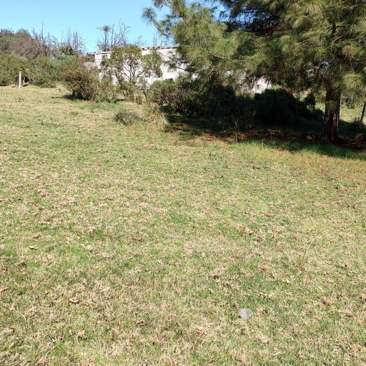 Ideal Rural Plot for a Vacation Home