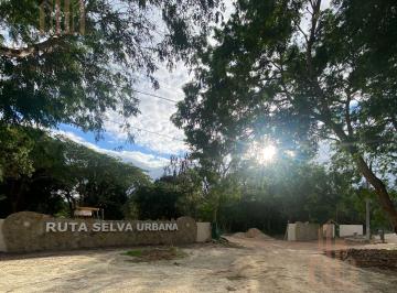 Terreno / Lote · 200m² · Lotes Residenciales Entrega Inmediata en Puerto Morelos con Cenote