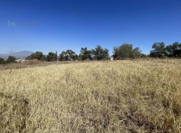 Terreno / Lote · 26500m² · Terreno en Abasolo S/n Col. La Arenita Tala, Jalisco