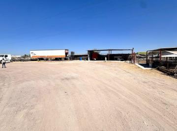 Terreno / Lote · 7000m² · Terreno - Ejido Montoro