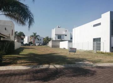 Terreno en venta en Rinconada de Santa Anita · Terreno en Venta en Rinconada de Santa Anita