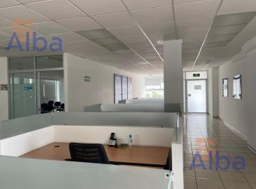 Oficina · 700m² · 3 Recámaras · 6 Estacionamientos · Piso en Renta Para Oficinas en Guadalupe Gonzalez Casi Esquina Av Universidad
