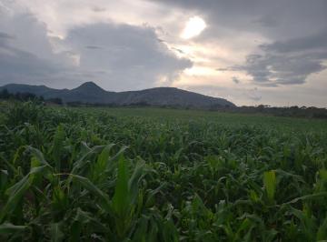 Rancho de 4 habitaciones, San Luis de la Paz · Rancho en Venta en San Luis de La Paz 40 Ha, pozos de Agua Propios