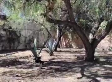 Terreno / Lote , Aguascalientes · Fracc. Campestre La Herradura Lote Bardeado en Venta