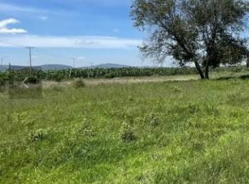 Terreno / Lote · 1778m² · Terreno en Venta en San Miguel Canoa, Puebla.