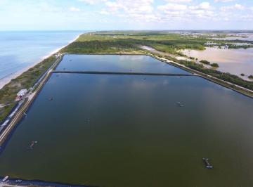 Terreno / Lote · 20000m² · 4 Lotes en Venta Frente Al Mar (Jvt - 1213)