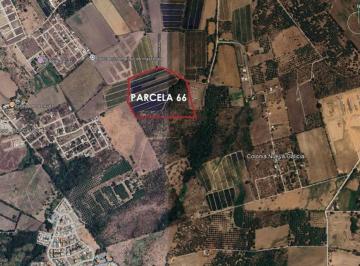 Terreno / Lote · 93973m² · Venta Terreno Uso Habitacionale en Venta en Bahia de Banderas