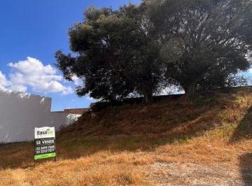 Terreno / Lote , Tlajomulco de Zúñiga · Terreno en Venta en Arbolada 2 Bosques de Santa Anita