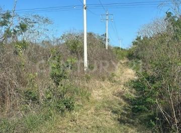 Terreno / Lote · 250m² · Terrenos en Venta en Tixkokob, Yucatán