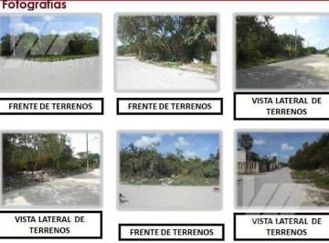 Terreno / Lote · 30195m² · Terrenos en Venta, Fracc. La Selva Sm 225, con Escritura y Posesión, Contado Muy Negociable Clave Ge