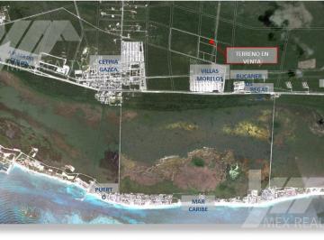 Terreno / Lote · 45741m² · Terreno en Venta, Puerto Morelos, Q. Roo, con Titulo de Propiedad, Clave Clau36