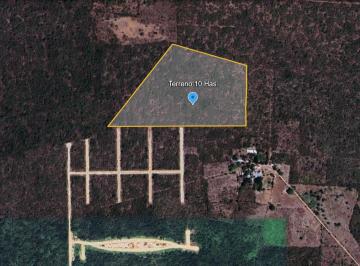 Terreno / Lote · 100000m² - Maximo Ruiz · Venta de Terreno en Motul 10 Hectáreas. Propiedad Privada