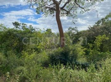 Terreno / Lote · 450m² · Terreno en Venta en Chicxulub Pueblo, Yucatán