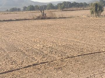 Terreno / Lote , Zapopan · Oportunidad Para Inversionista con Gran Plusvalia Dentro de Zapopan