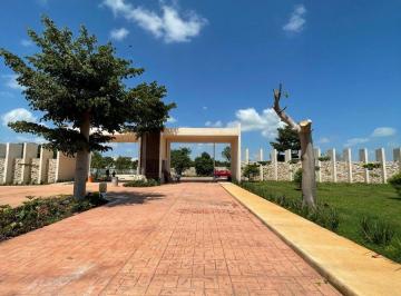 Terreno / Lote , Mérida · Terreno en Venta en Cholul Mérida