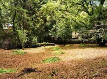 Terreno / Lote · 1000m² · Terreno en Venta en Los Ocotes, Tepoztlán, en Conjunto de Solo 3 Lotes.
