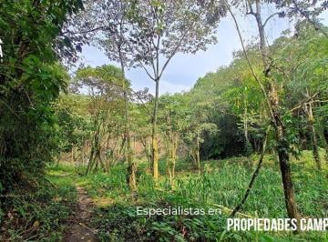Terreno / Lote · 180m² · 3 Recámaras · 10 Estacionamientos · 200 Hectáreas Para Agroforestería
