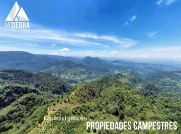 Terreno / Lote · 300000m² · Venta de Terreno Boscoso Frente a Montaña