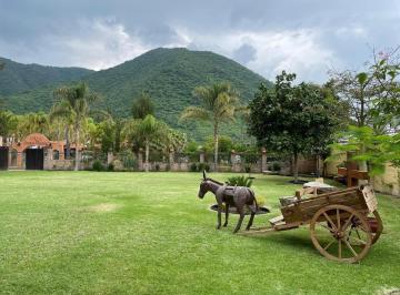 6461633d18d9b08467f6d2ed79b875f402c62ff7d3da5abd61aa09141745feb1 · Casa en San Isidro Mazatepec