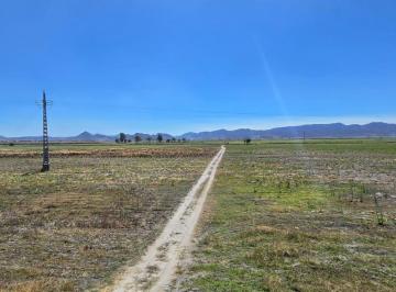 Terreno / Lote , Tala · Terreno 15.7ha a Pie de Carretera Tala