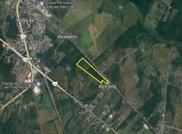 Terreno comercial , Medellín · Venta Hectáreas Paso del Toro,