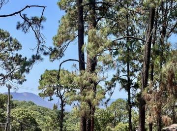 Terreno / Lote , Valle de Bravo · Terreno en Venta en Avandaro